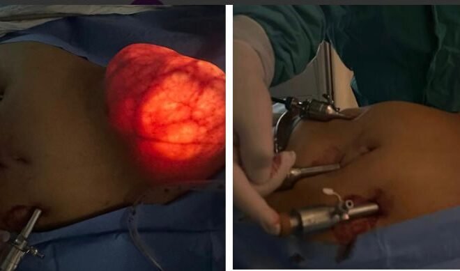 WhatsApp Image 2026-01-11 at 18.12.00 (1)